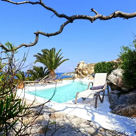 Sea Palm *